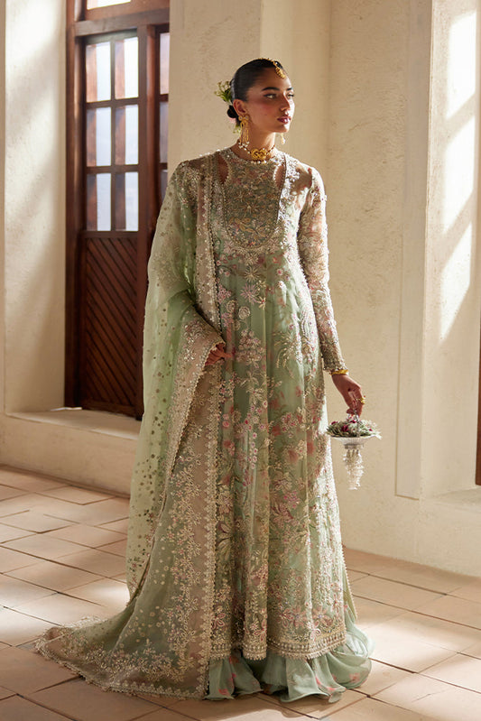 Calene - Freeshia RTW 4Pc Suit