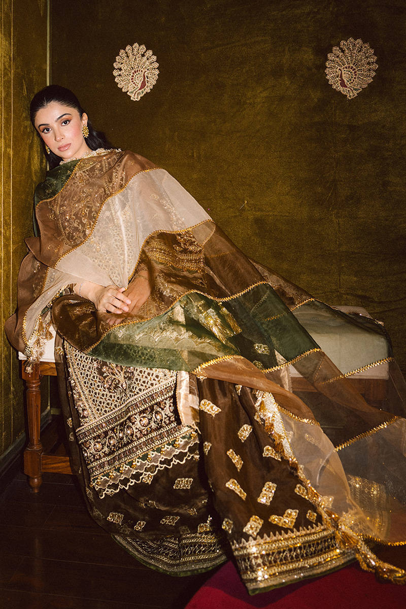 Zahra Sarfraz in Tabeer