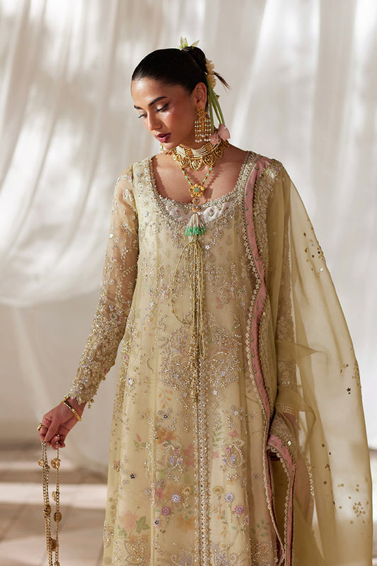 Silvia - Freeshia RTW 4Pc Suit