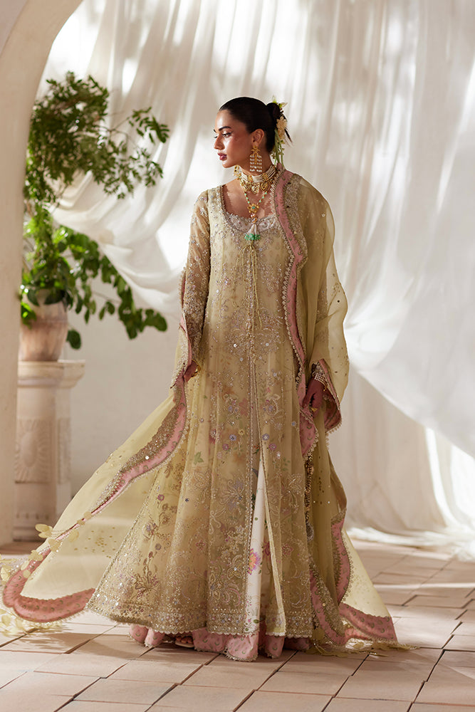 Silvia - Freeshia RTW 4Pc Suit