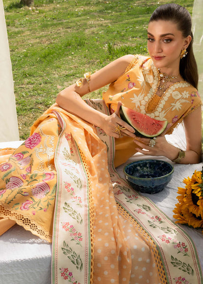 LILY-1B