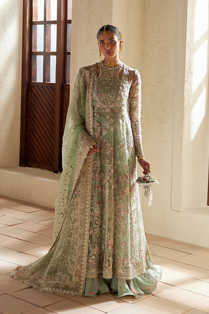 Calene - Freeshia RTW 4Pc Suit