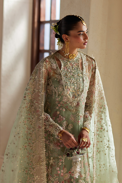 Calene - Freeshia RTW 4Pc Suit