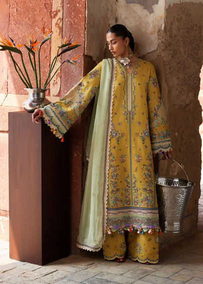 Sari