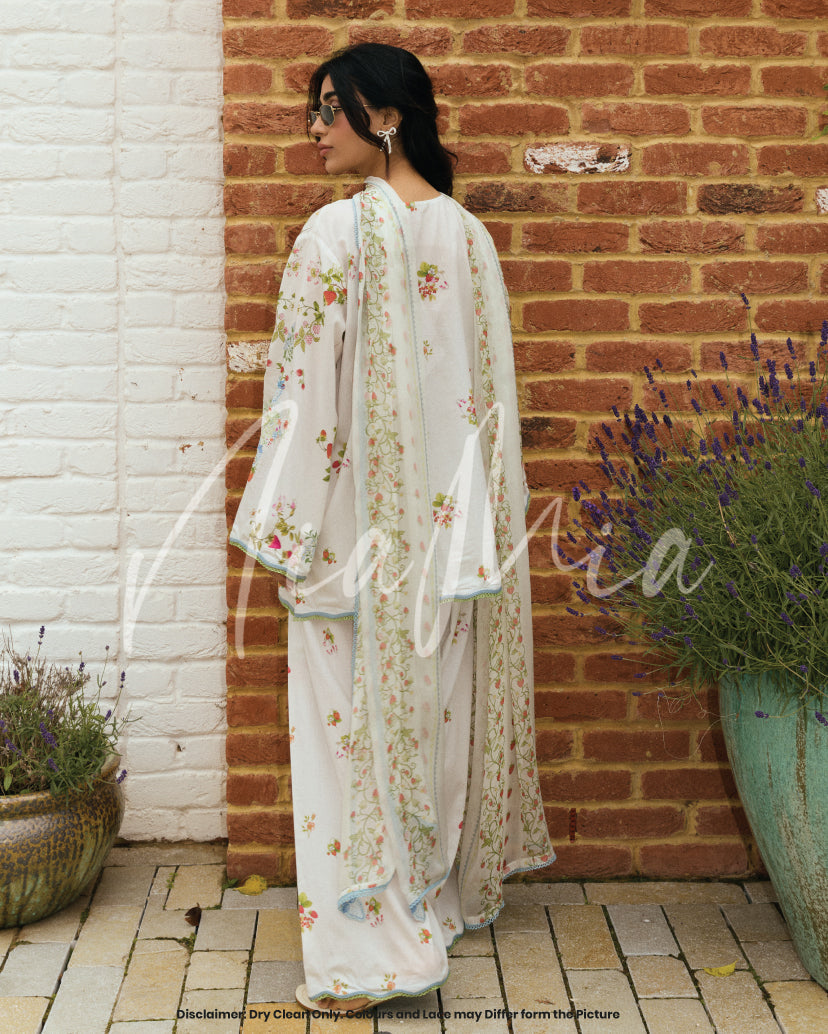 Berry Cola Dupatta