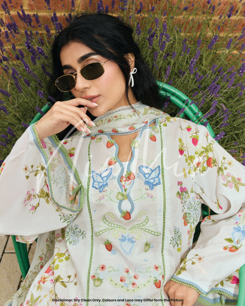 Berry Cola Dupatta