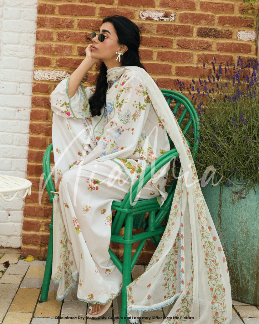 Berry Cola Dupatta