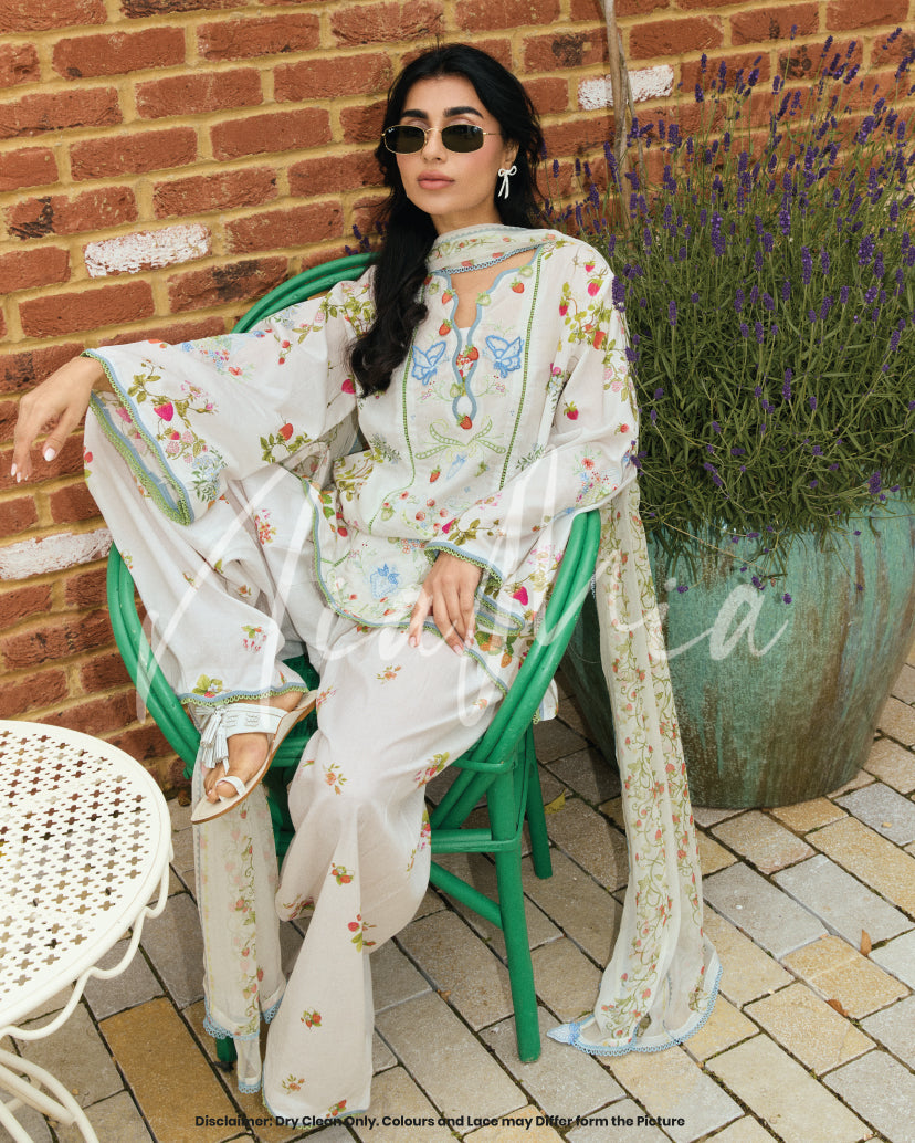 Berry Cola Dupatta